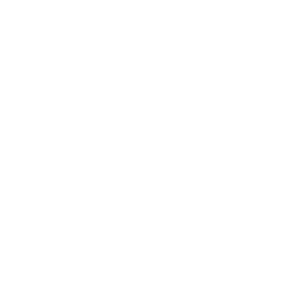 One-on-one mentoring